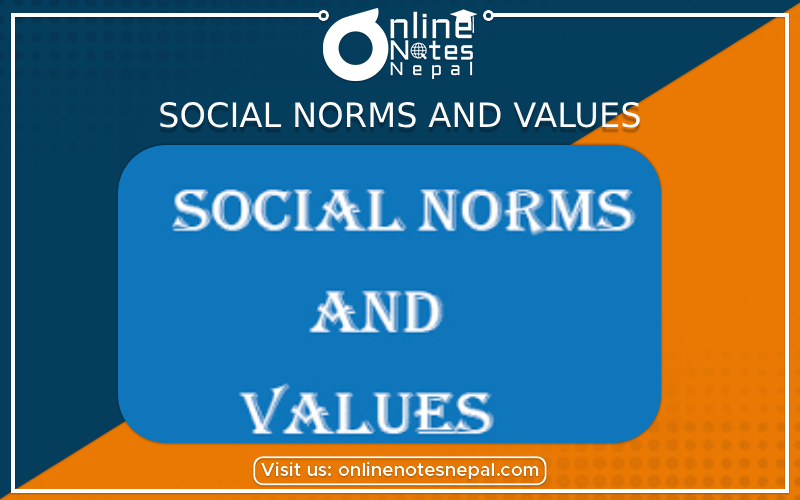 Social Norms and Values